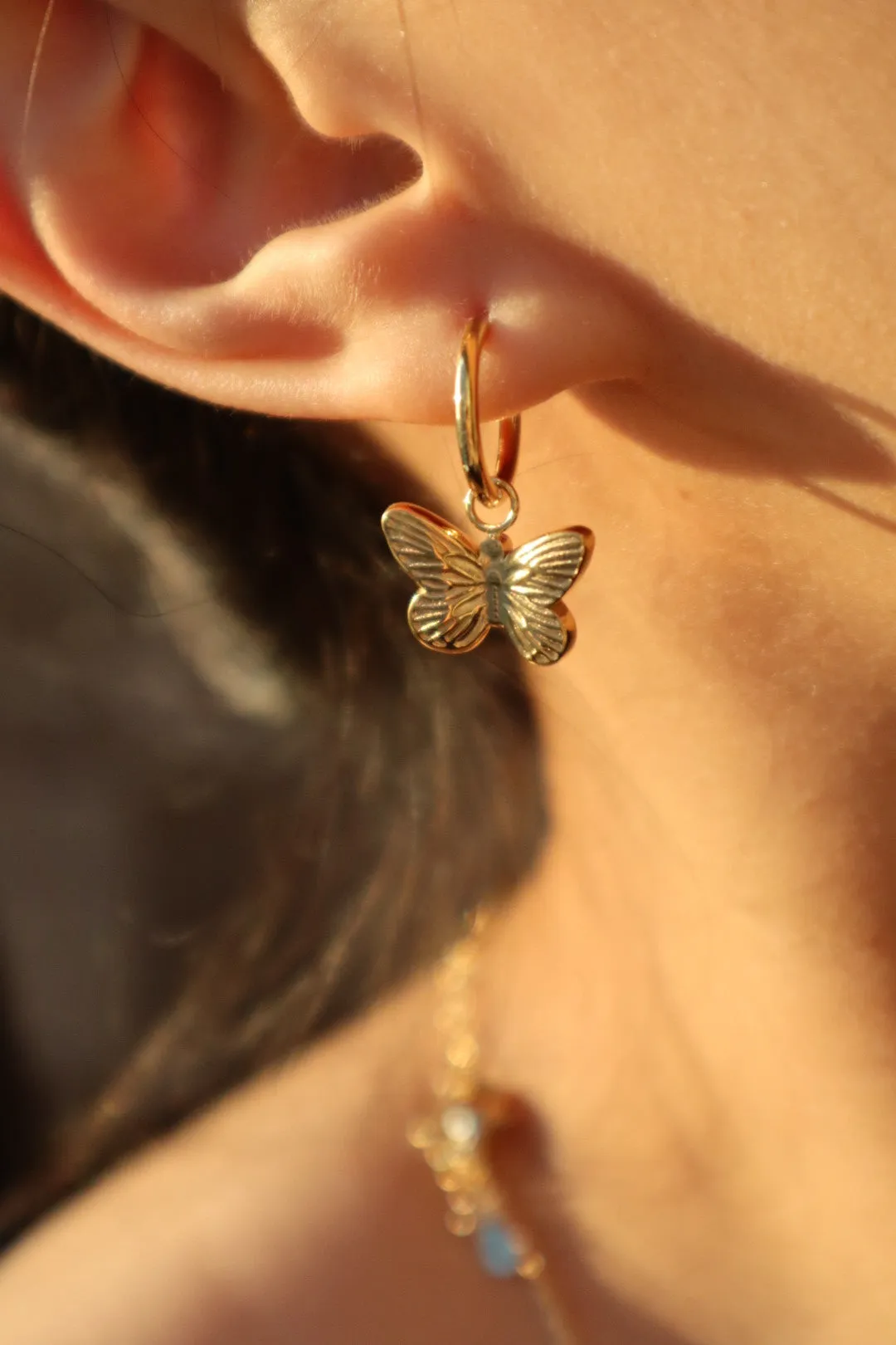 18K Gold stainless steel Butterfly Earrings