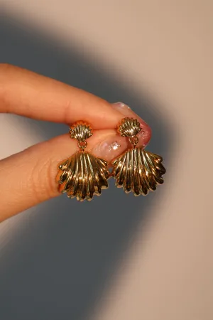 18K Real Gold Plated Sea Shell Earrings