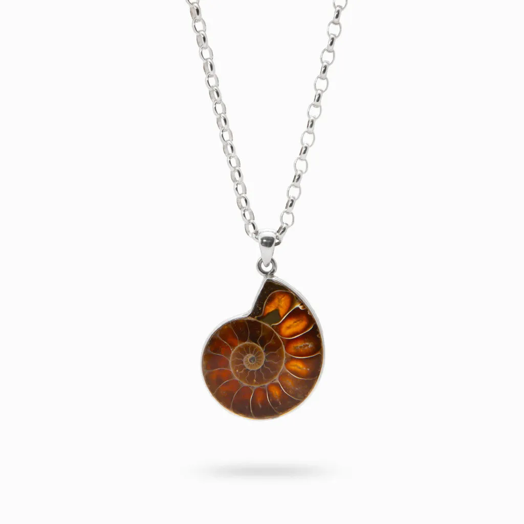 Ammonite Necklace