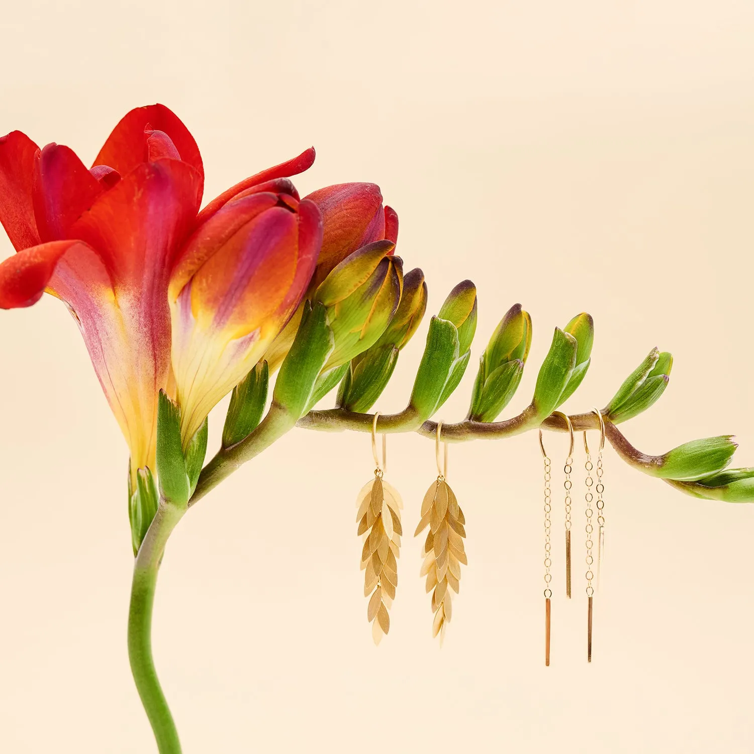 Golden Leaf Earrings